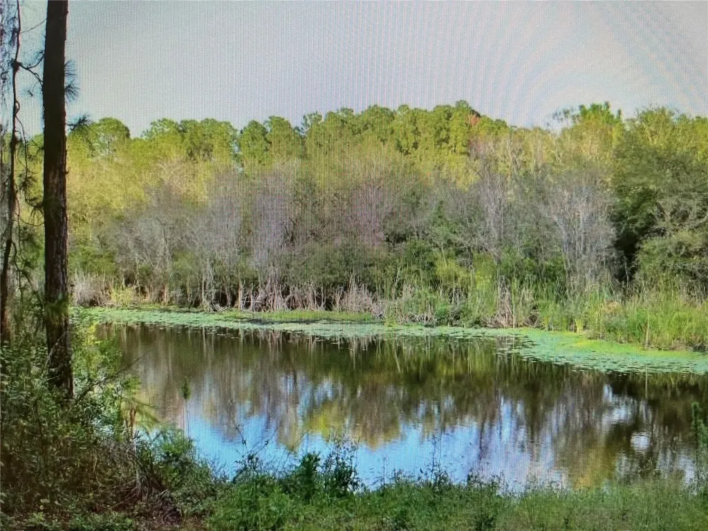 Lot A,b,c,d,e,f Narcissus Terrace North Port FL 34286