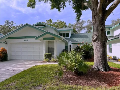 255 Woodridge Circle Oldsmar FL 34677
