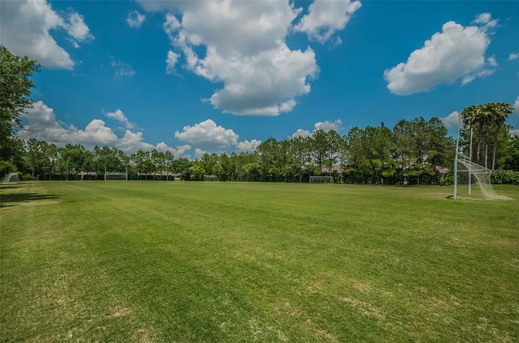 4445 Lansbrook Parkway Palm Harbor FL 34685