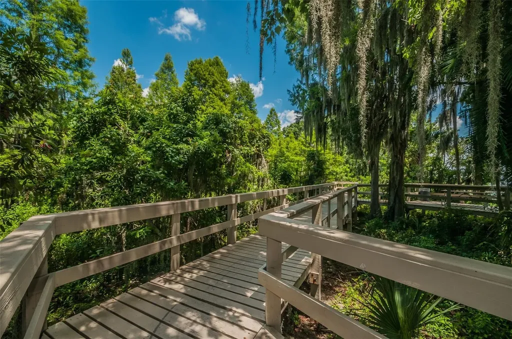 4445 Lansbrook Parkway Palm Harbor FL 34685