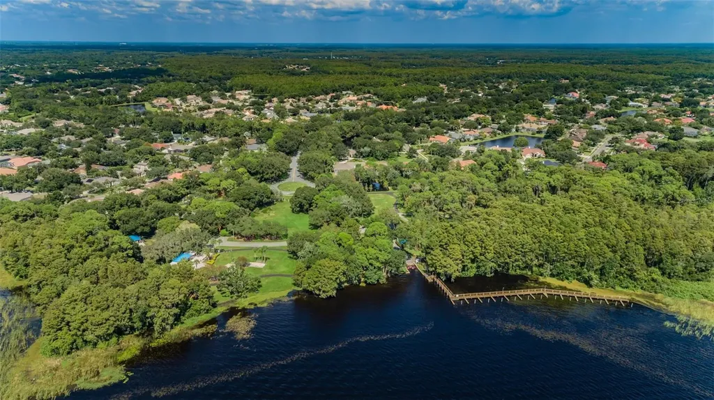 4445 Lansbrook Parkway Palm Harbor FL 34685