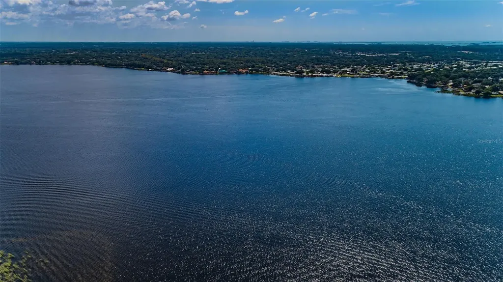 4445 Lansbrook Parkway Palm Harbor FL 34685