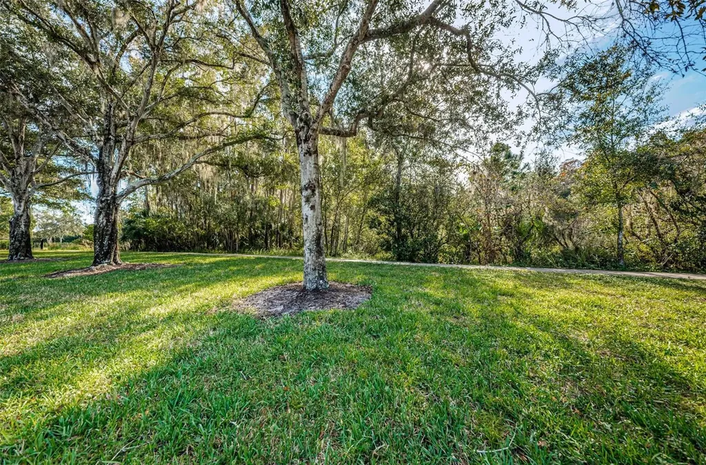 4445 Lansbrook Parkway Palm Harbor FL 34685