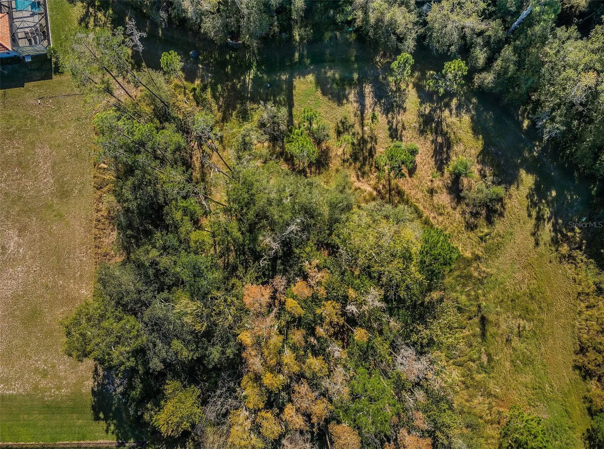 4445 Lansbrook Parkway Palm Harbor FL 34685