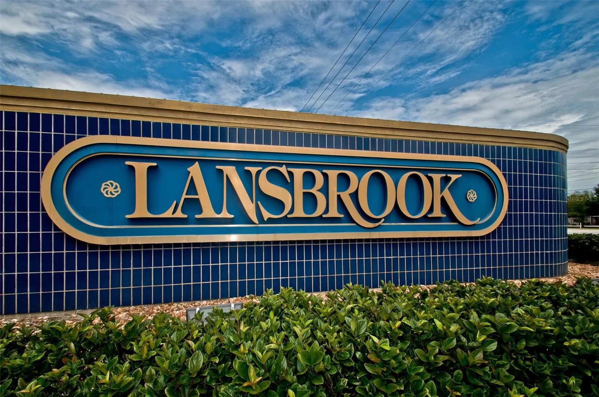 4445 Lansbrook Parkway Palm Harbor FL 34685