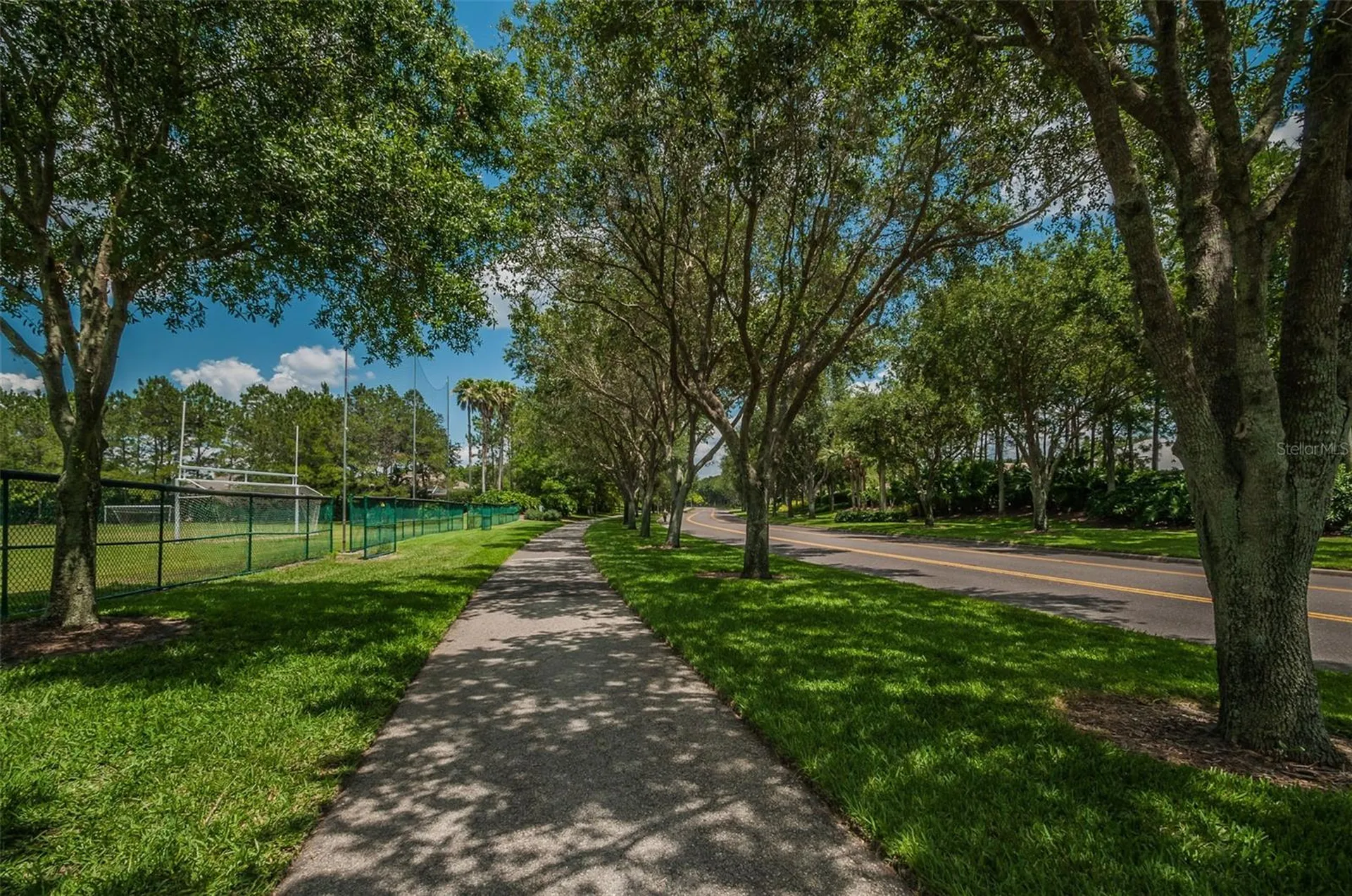 4445 Lansbrook Parkway Palm Harbor FL 34685