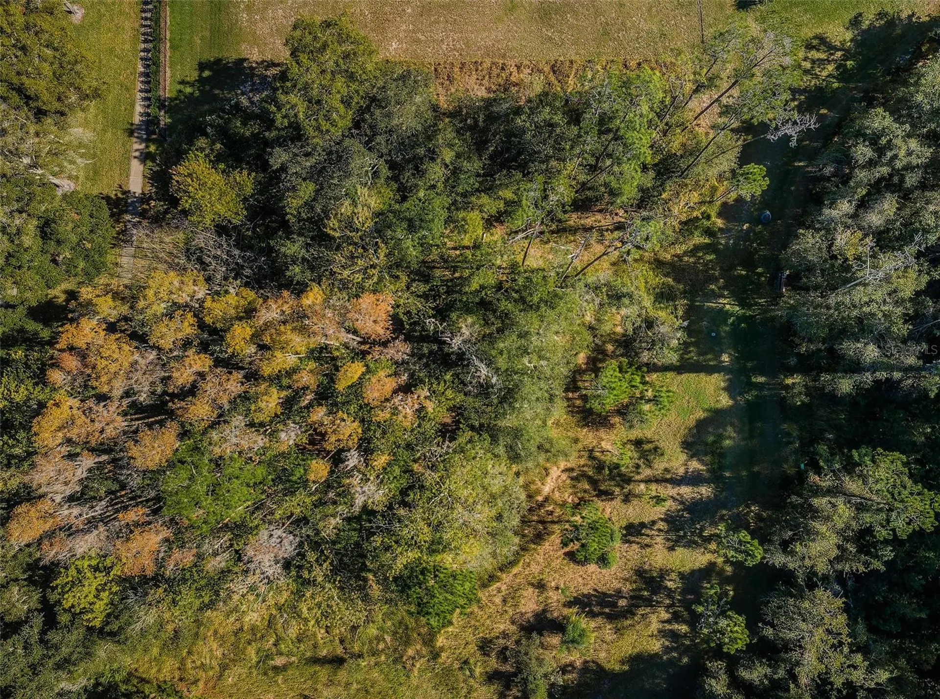 4445 Lansbrook Parkway Palm Harbor FL 34685