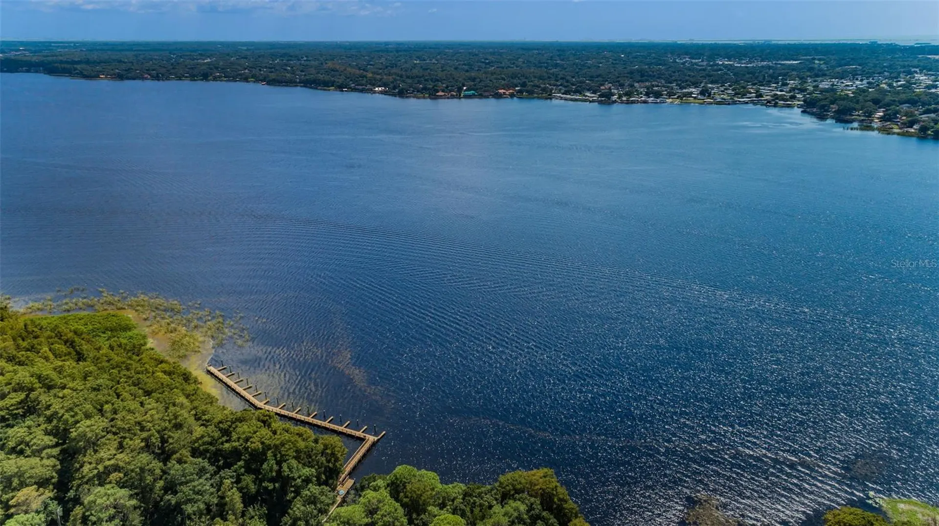 4445 Lansbrook Parkway Palm Harbor FL 34685