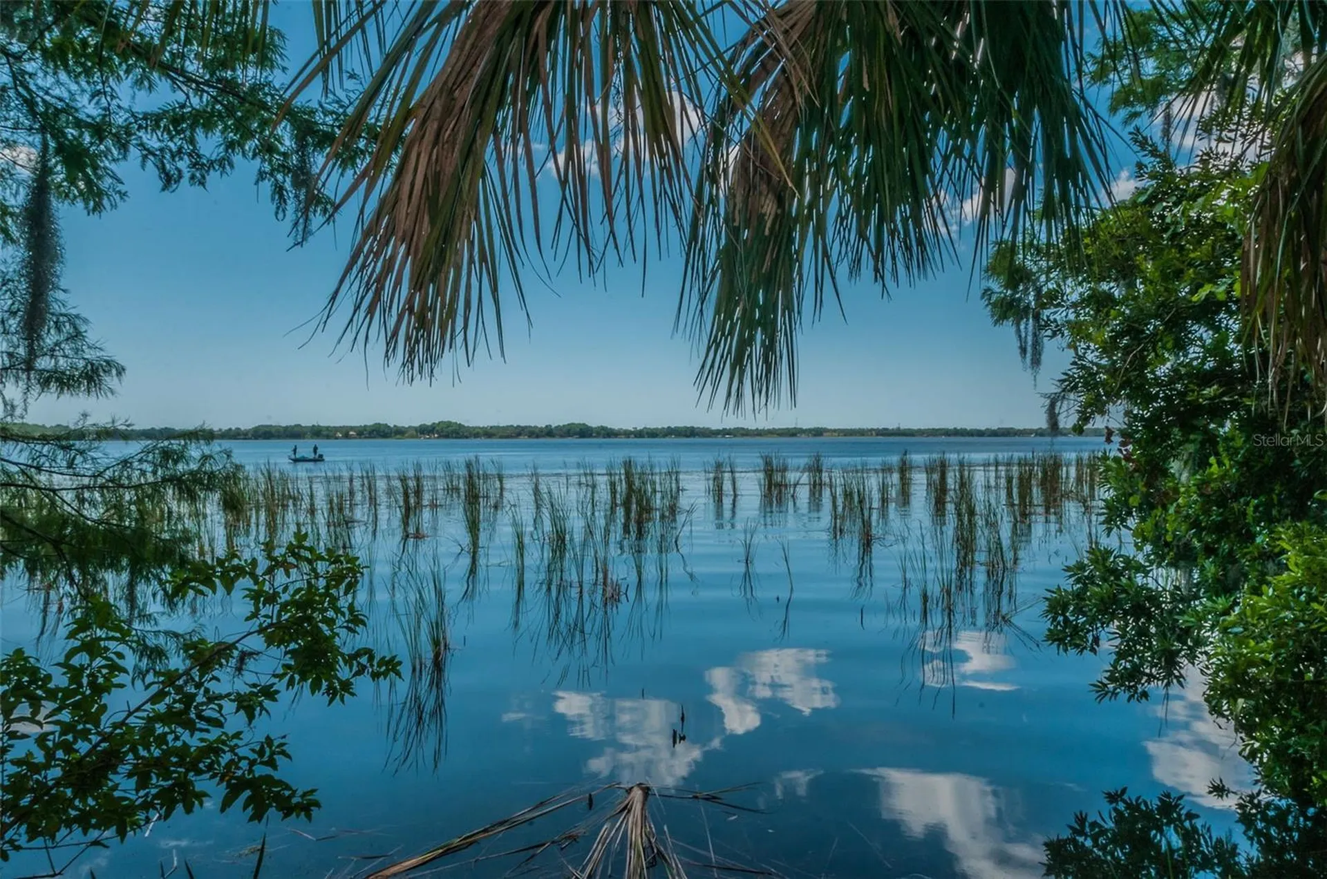 4445 Lansbrook Parkway Palm Harbor FL 34685