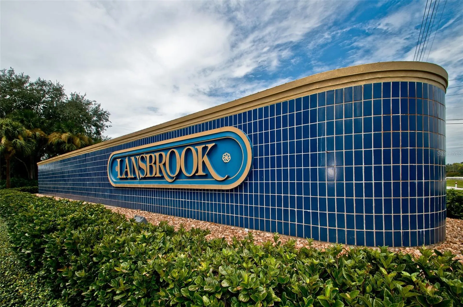 4445 Lansbrook Parkway Palm Harbor FL 34685