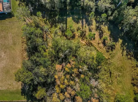 4445 Lansbrook Parkway Palm Harbor FL 34685