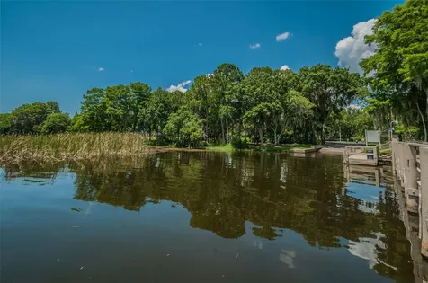 4445 Lansbrook Parkway Palm Harbor FL 34685