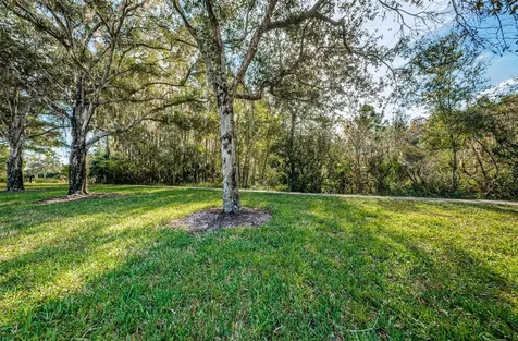 4445 Lansbrook Parkway Palm Harbor FL 34685