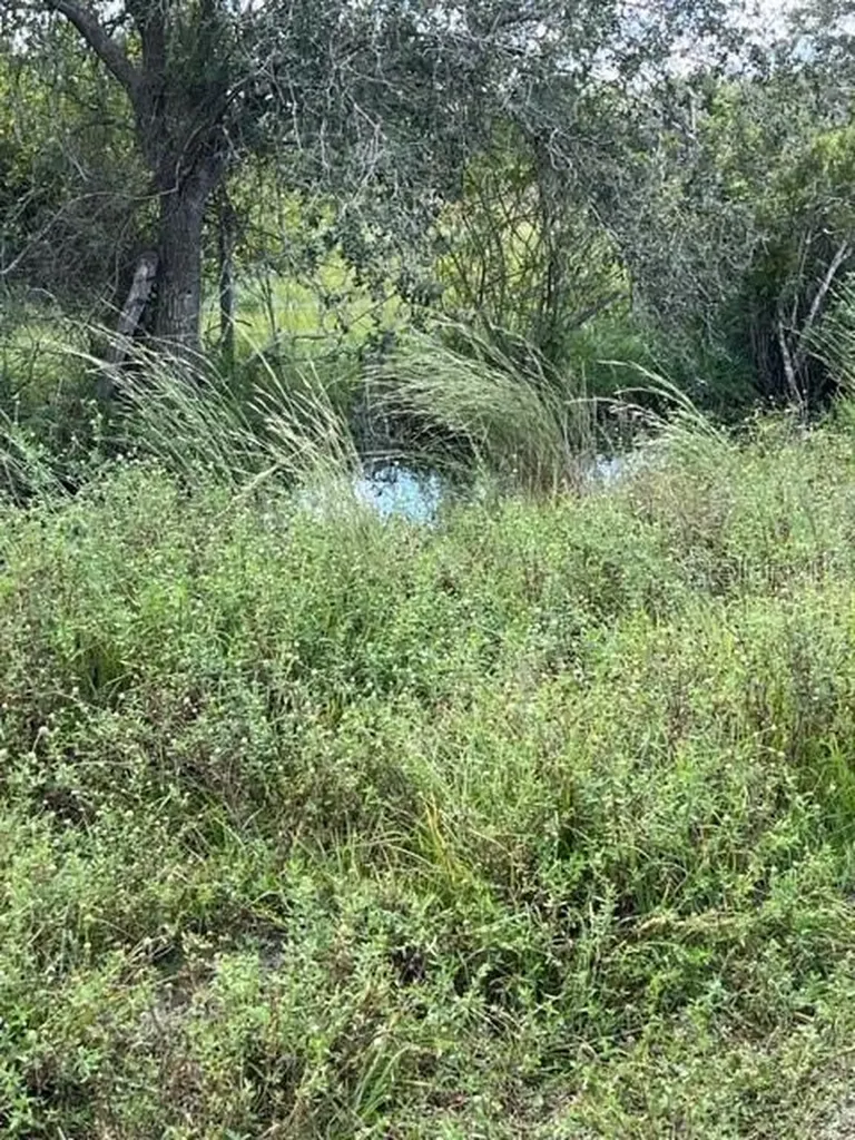 SE Tomlin #3 Drive Arcadia FL 34266