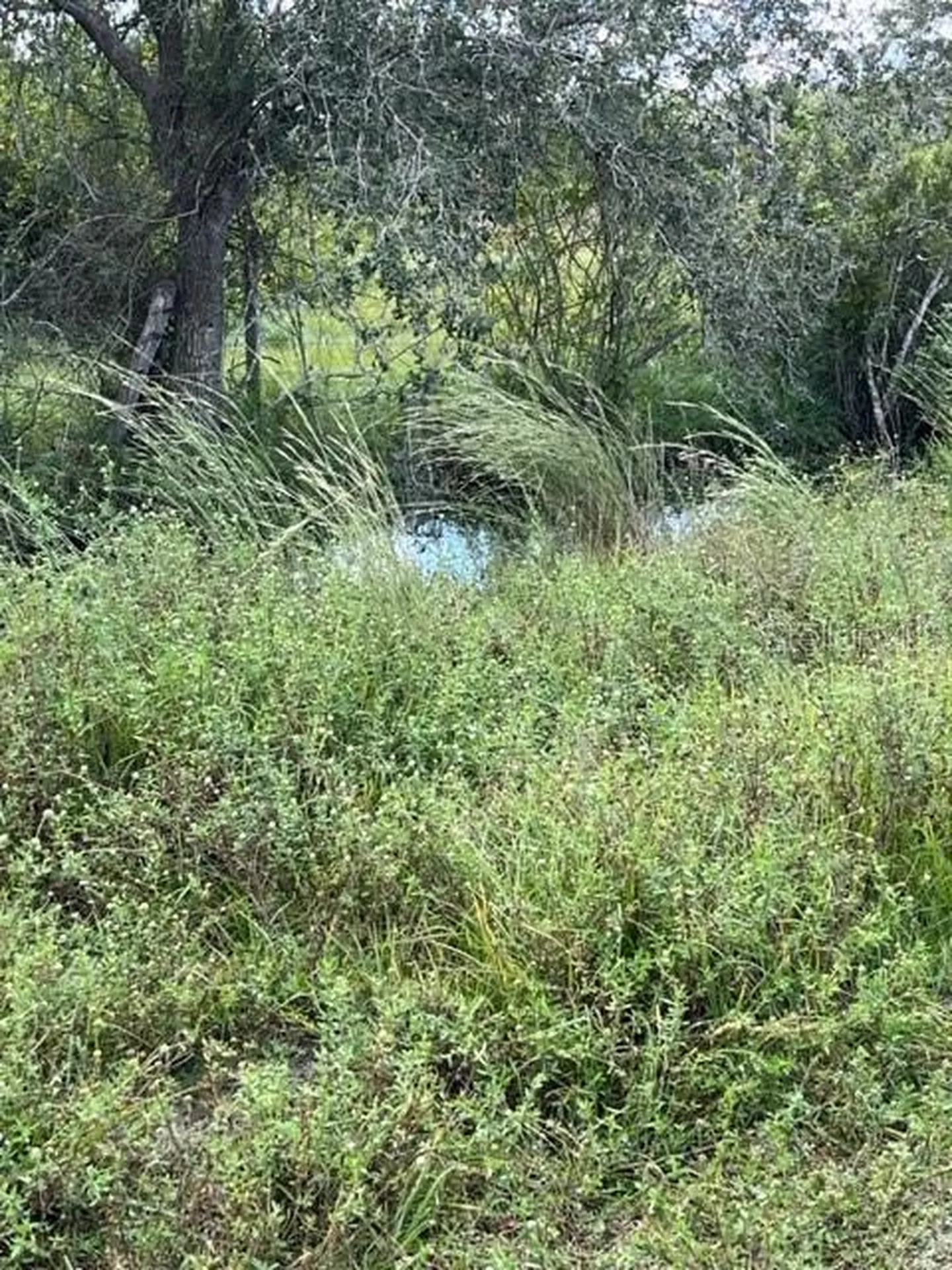 SE Tomlin #3 Drive Arcadia FL 34266