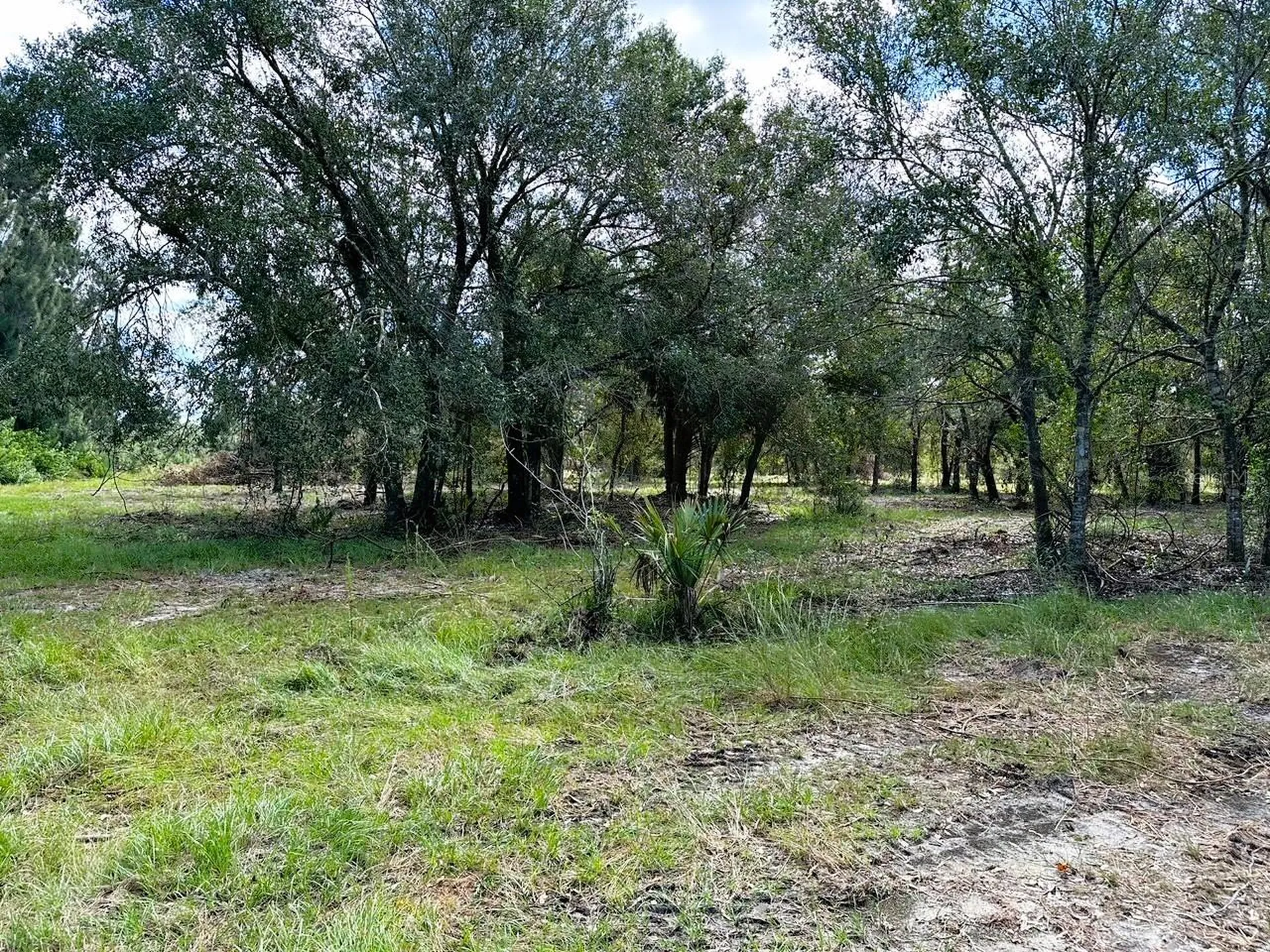 SE Tomlin #3 Drive Arcadia FL 34266