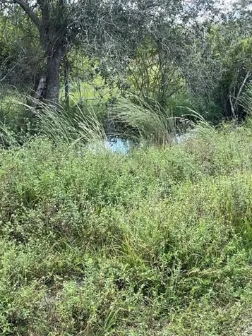 SE Tomlin #3 Drive Arcadia FL 34266