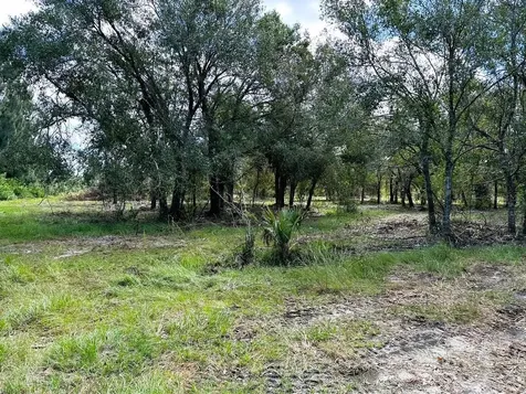 SE Tomlin #3 Drive Arcadia FL 34266