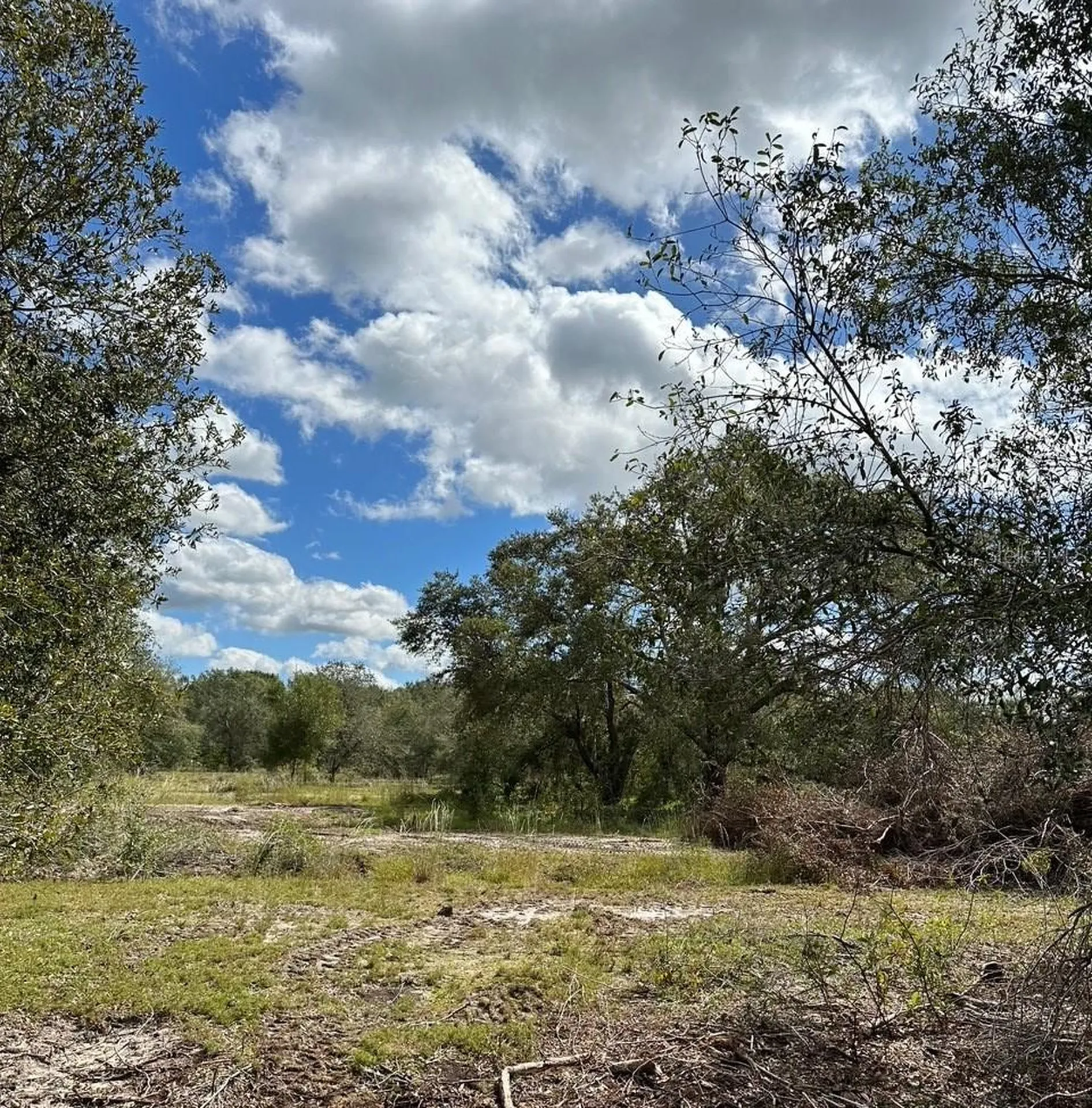 SE Tomlin #2 Drive Arcadia FL 34266