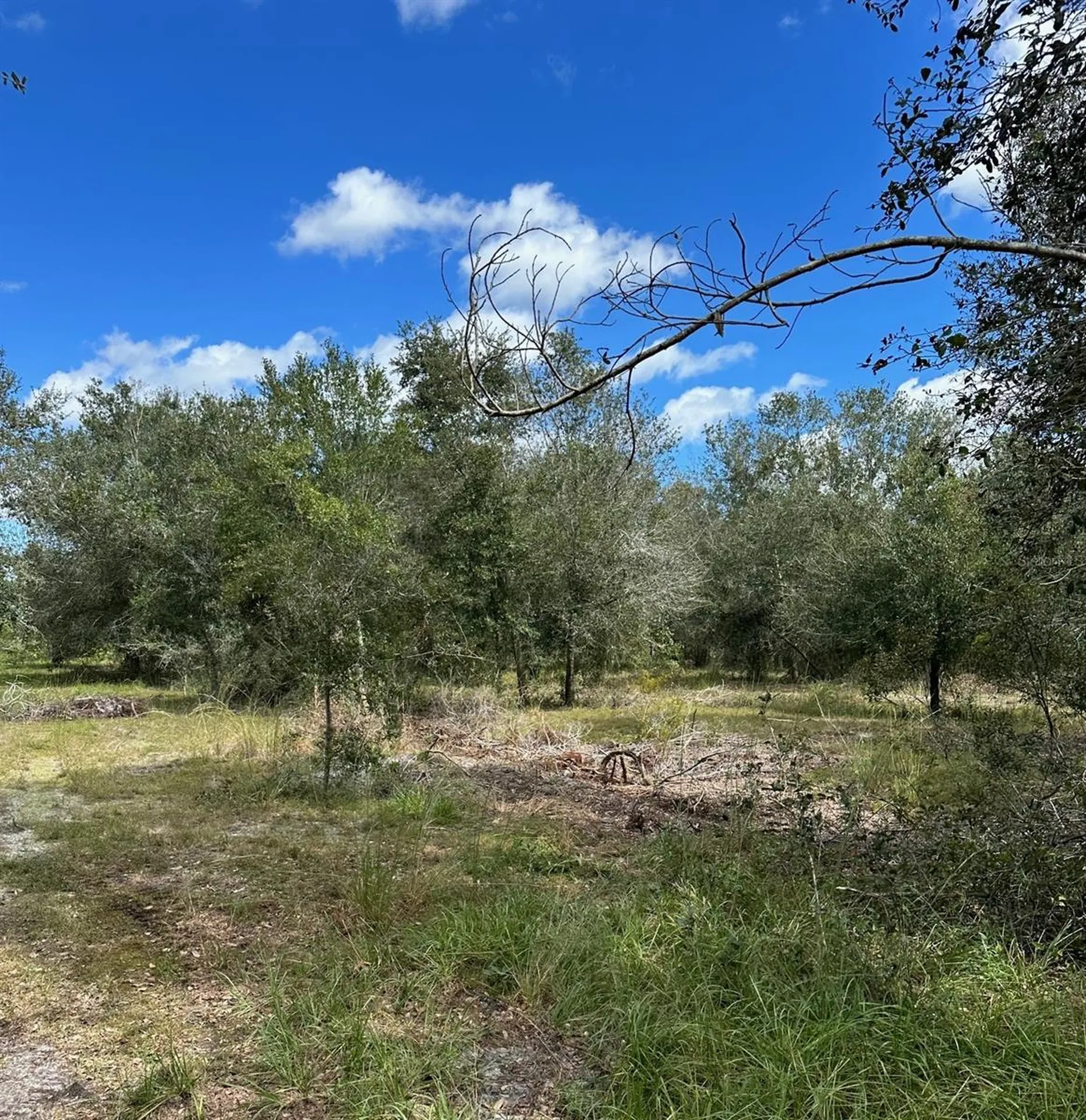 SE Tomlin #2 Drive Arcadia FL 34266