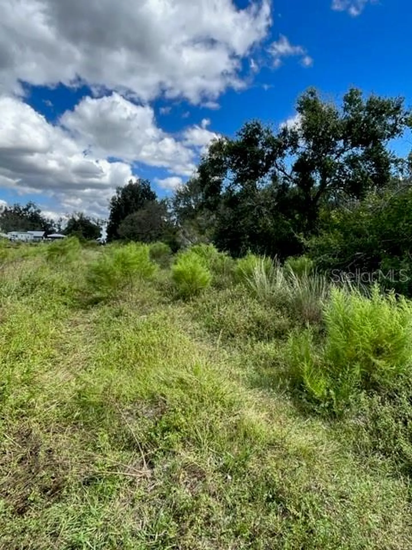 SE Tomlin #2 Drive Arcadia FL 34266