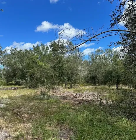 SE Tomlin #2 Drive Arcadia FL 34266