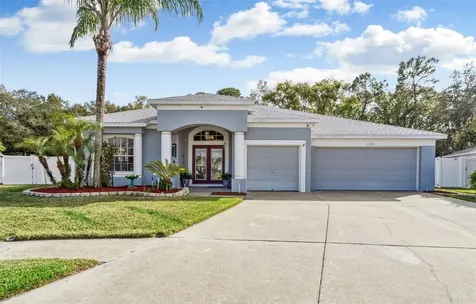 22306 Yachtclub Terrace Land O Lakes FL 34639