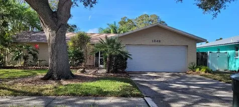 1242 Dinnerbell Lane E Dunedin FL 34698