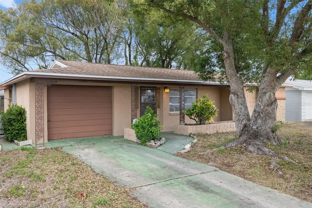 3513 Rosewater Drive Holiday FL 34691