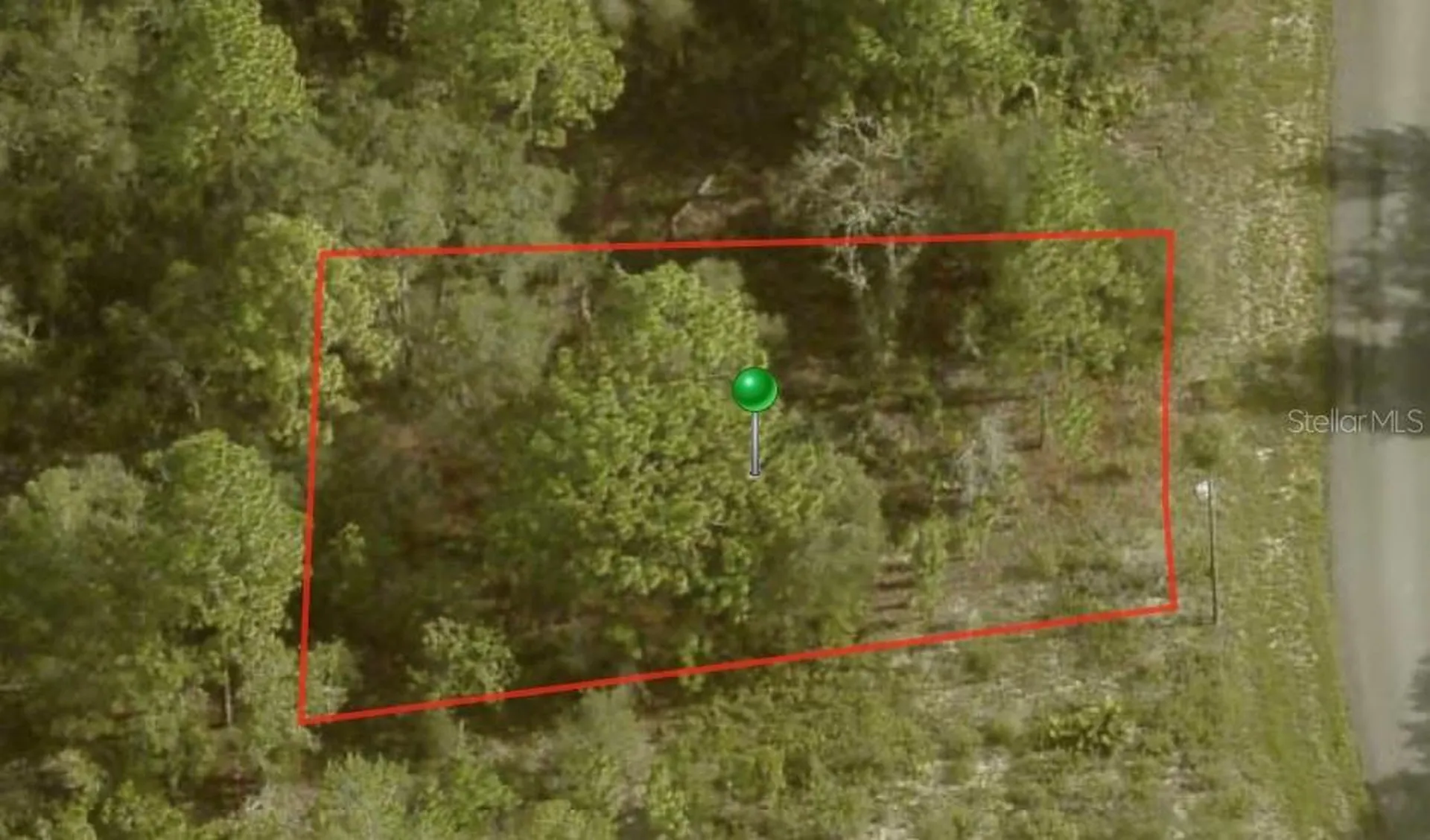 6692 N Buckskin Drive Citrus Springs FL 34434