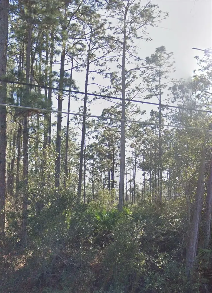 Ralston Street Orlando FL 32833
