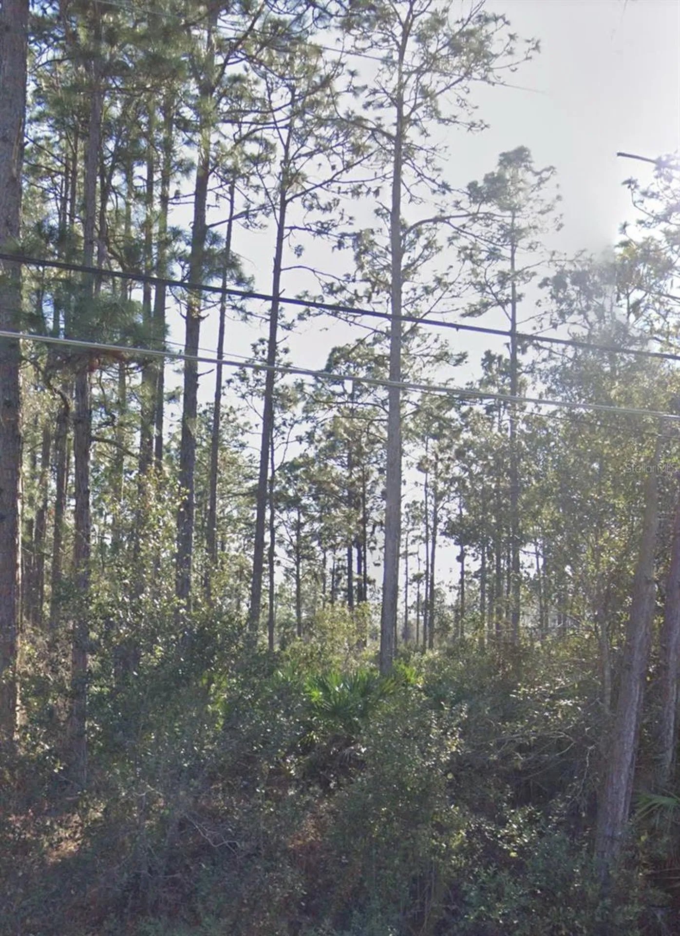 Ralston Street Orlando FL 32833