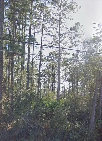 Ralston Street Orlando FL 32833