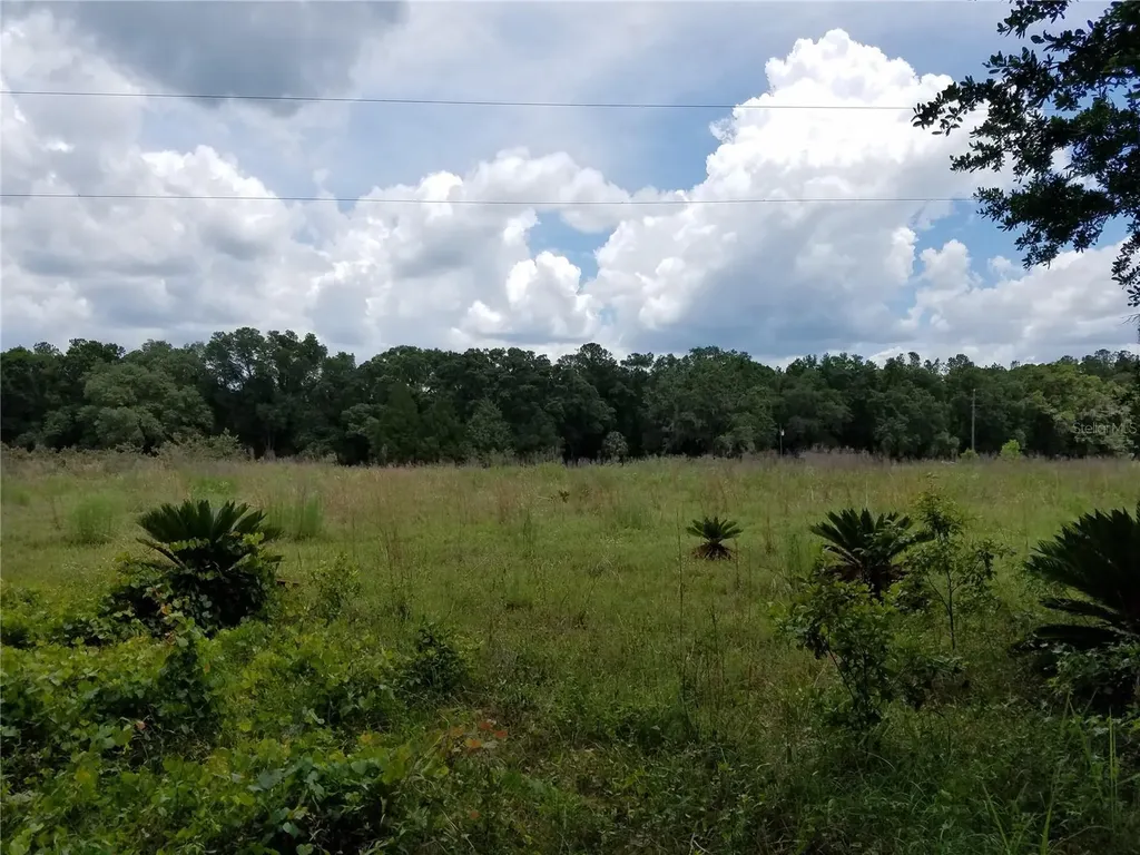 SW County Road 242a Lake City FL 32056