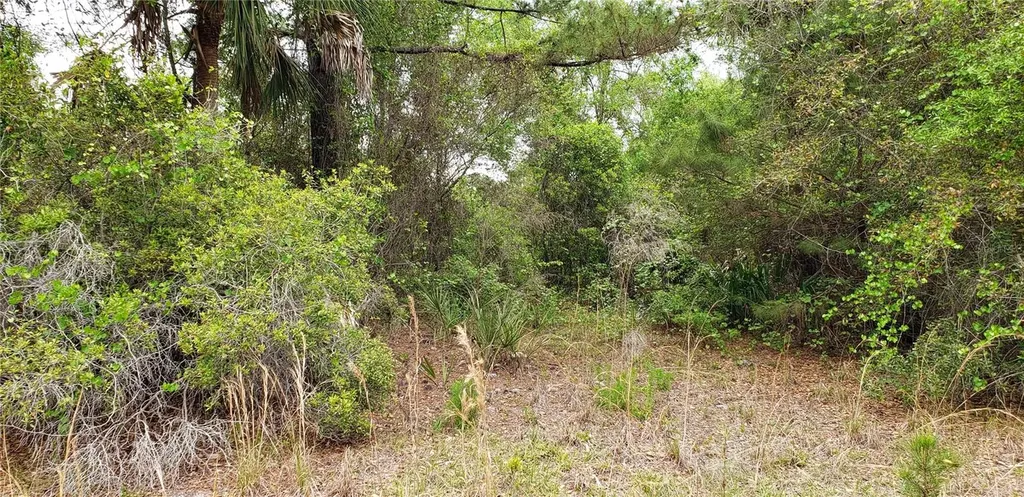 SW County Road 242a Lake City FL 32056