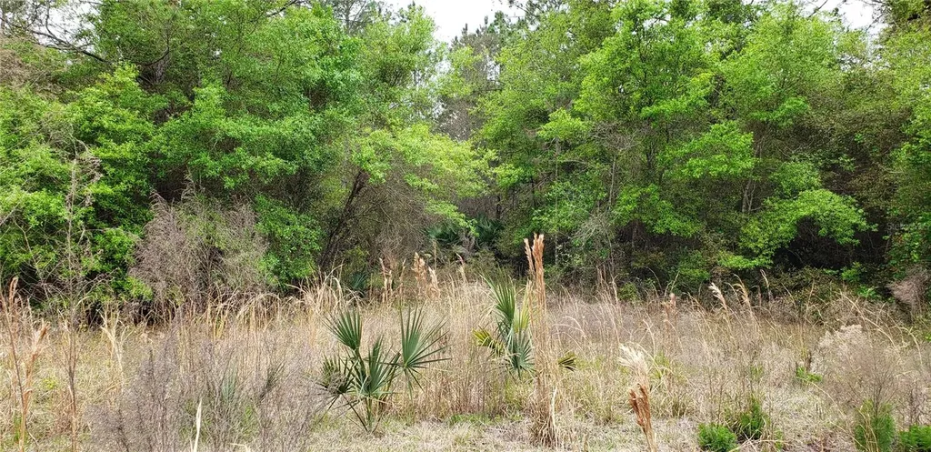 SW County Road 242a Lake City FL 32056