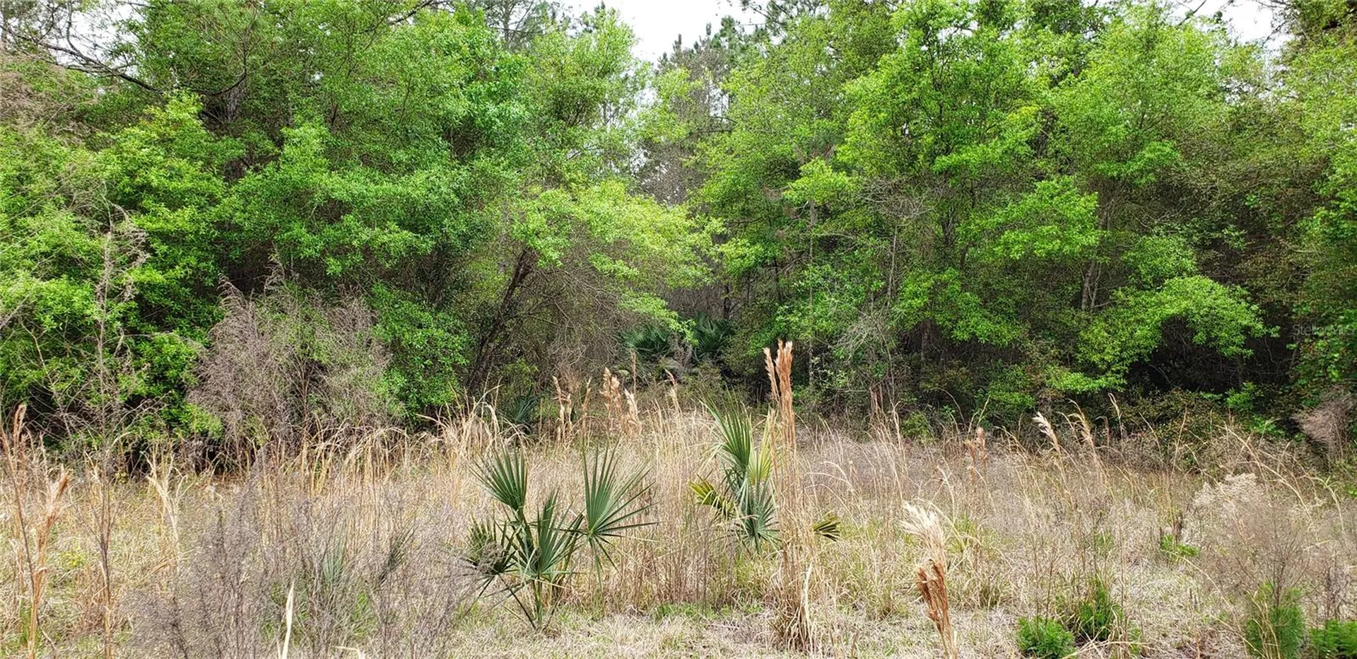 SW County Road 242a Lake City FL 32056