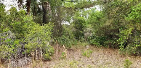 SW County Road 242a Lake City FL 32056