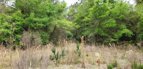 SW County Road 242a Lake City FL 32056