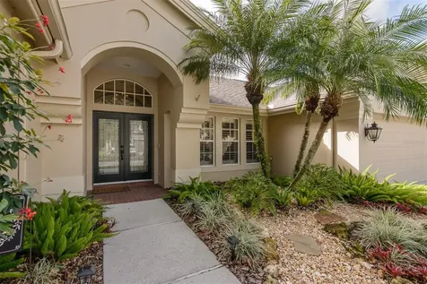 4320 Auston Way Palm Harbor FL 34685