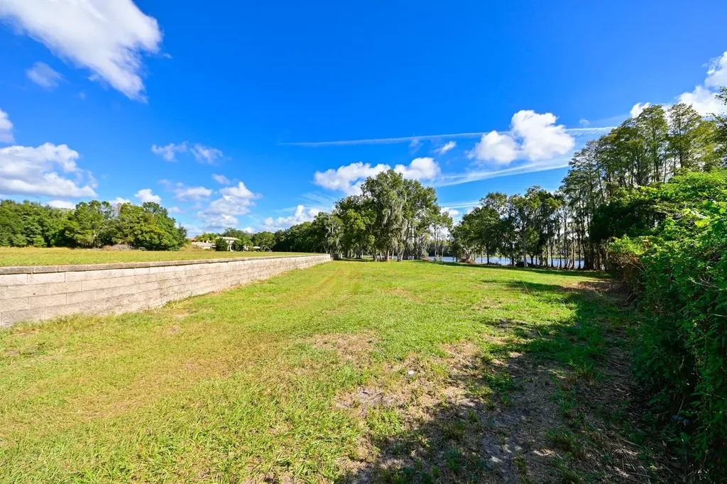105 Bellamere Palms Court Lutz FL 33549