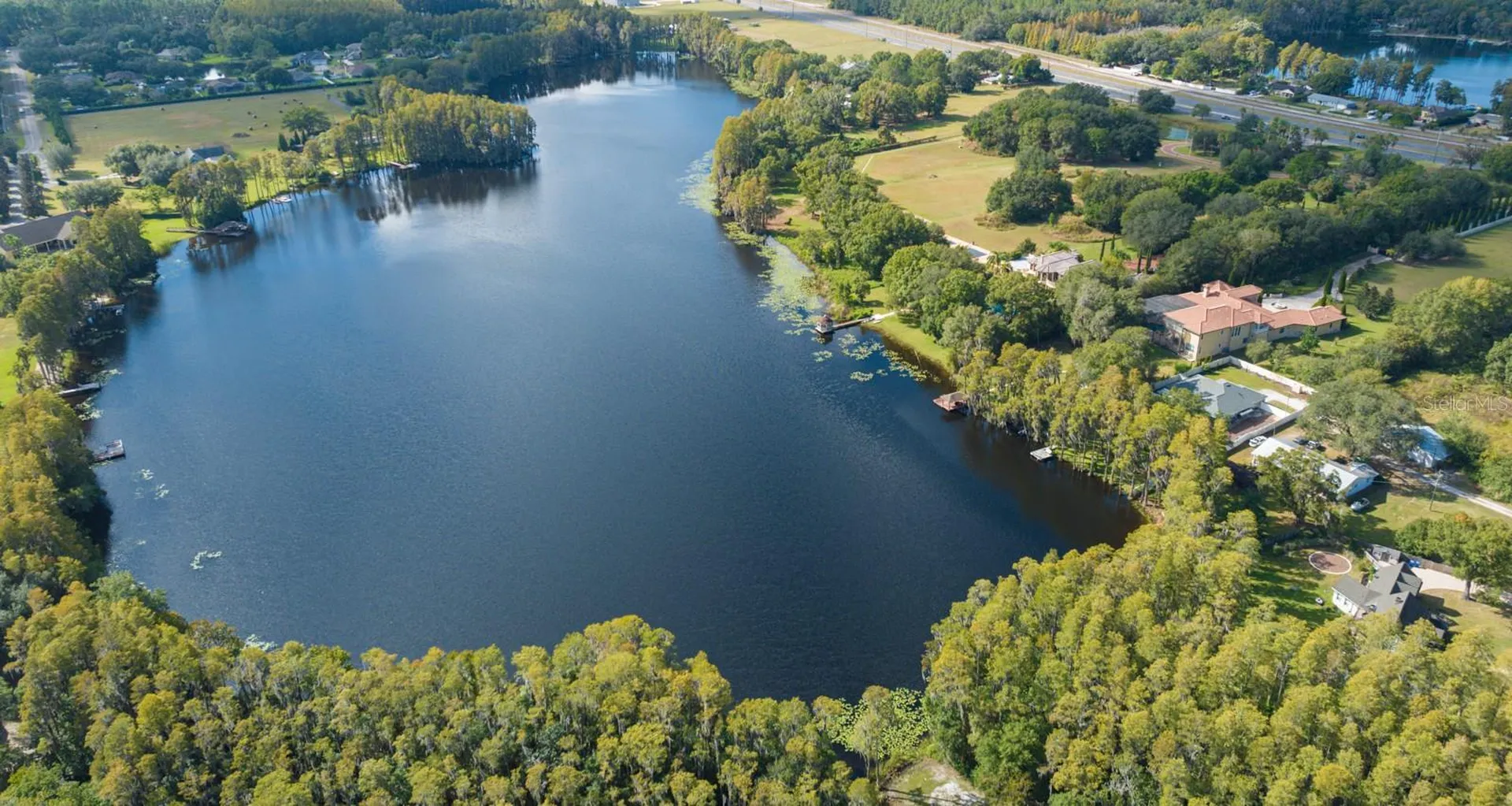 105 Bellamere Palms Court Lutz FL 33549