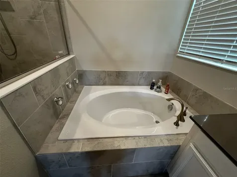 3253 Wauseon Drive St Cloud FL 34772