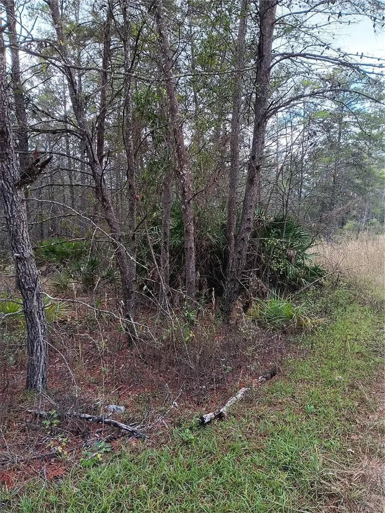 5144 W Osmond Lane Dunnellon FL 34433