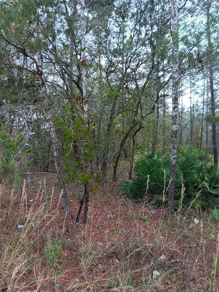 5144 W Osmond Lane Dunnellon FL 34433