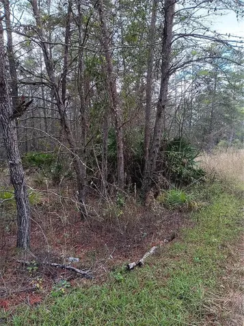 5144 W Osmond Lane Dunnellon FL 34433