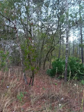 5144 W Osmond Lane Dunnellon FL 34433
