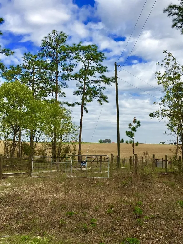 NW Falcon Avenue Dunnellon FL 34431