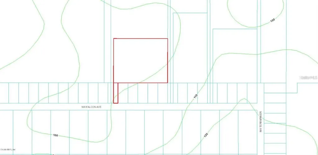 NW Falcon Avenue Dunnellon FL 34431