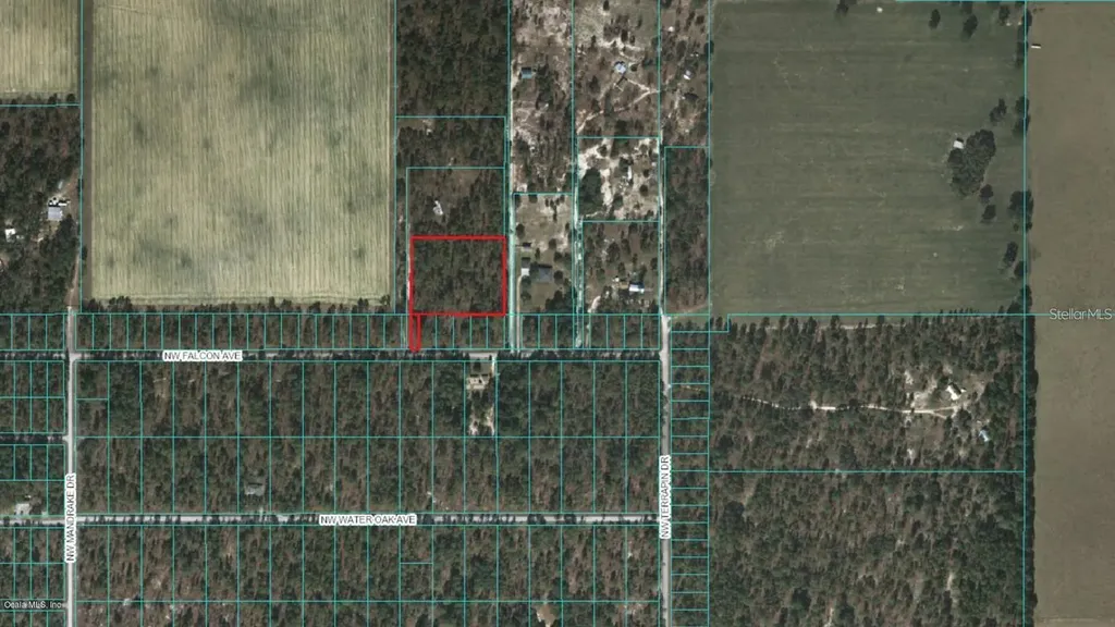 NW Falcon Avenue Dunnellon FL 34431